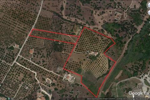 Villa - Sciacca, Agrigento, Sciacca - € 1 490 000 | Réf : Baldassare Sovi - photo 26